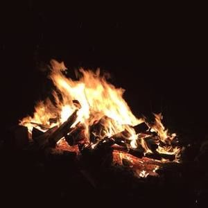 Meet your Posher, Max